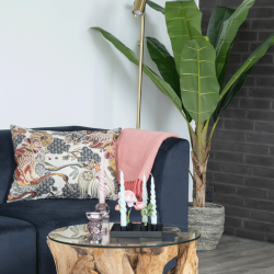 Arbre palmier banane LINNEA